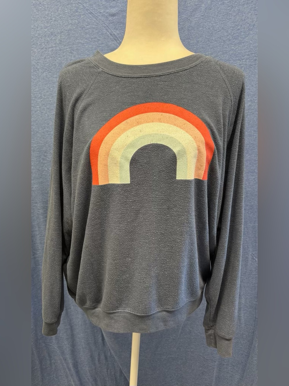 Wildfox Blue-Gray Rainbow Graphic Pullover Sweatshirt